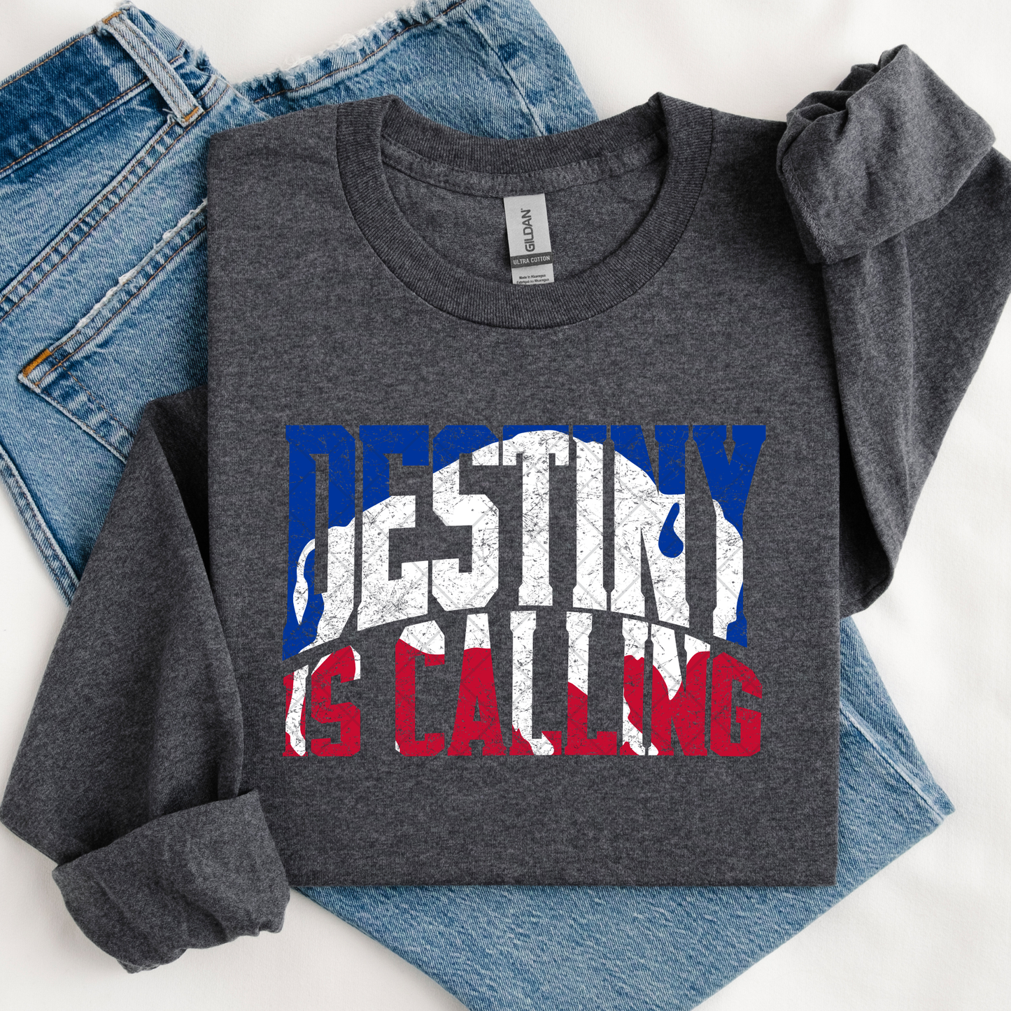 Destiny is Calling Buffalo DTF Transfer