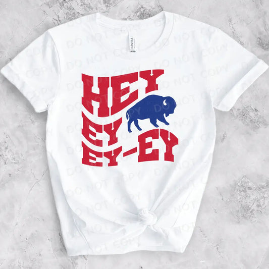 Hey Ey Buffalo Football Retro Wave Dtf Transfer